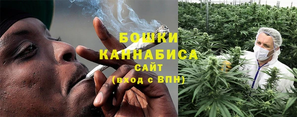 шишки Волосово