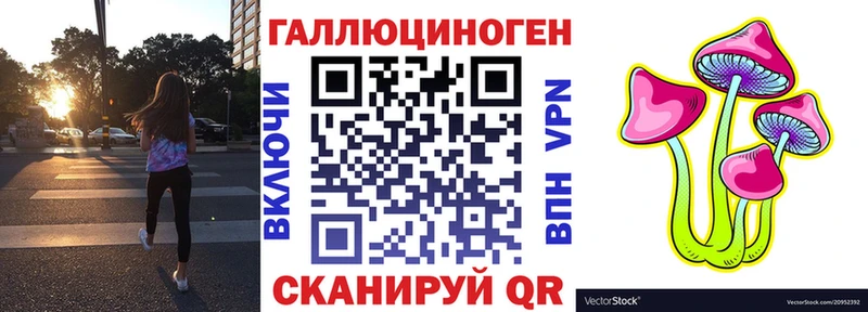 Купить закладки  Зерноград  Галлюциногенные грибы Psilocybine cubensis 